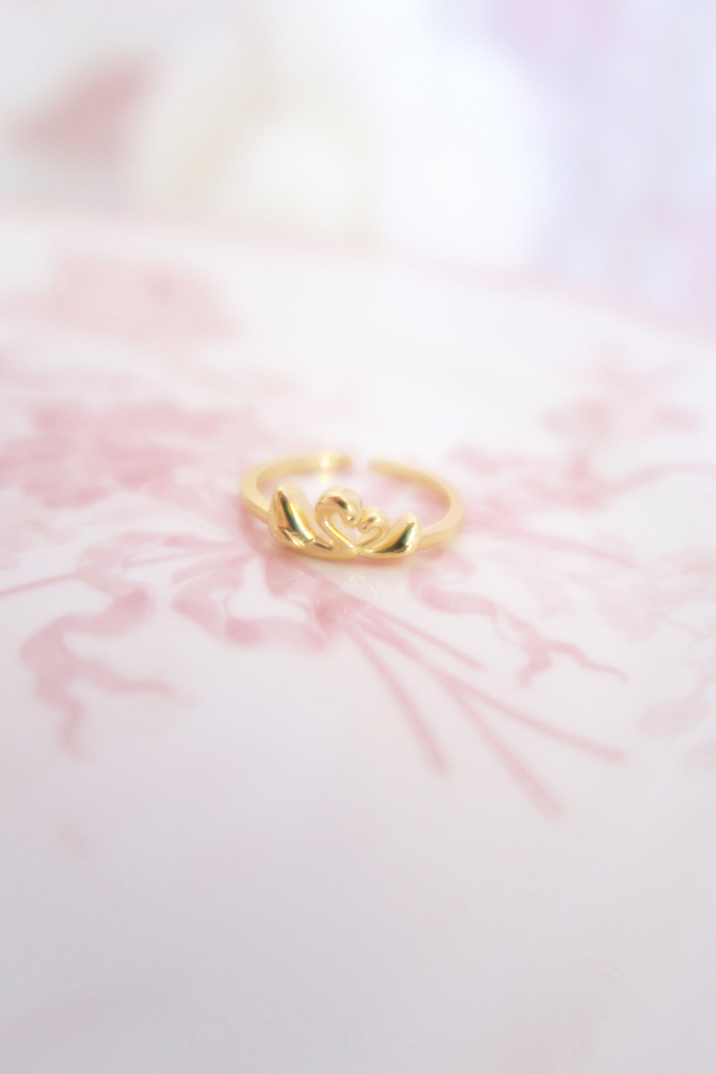 The Swan Lake Ring