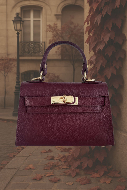 The Janáe Mini Handbag - Berry Burgundy RESTOCK 8.4