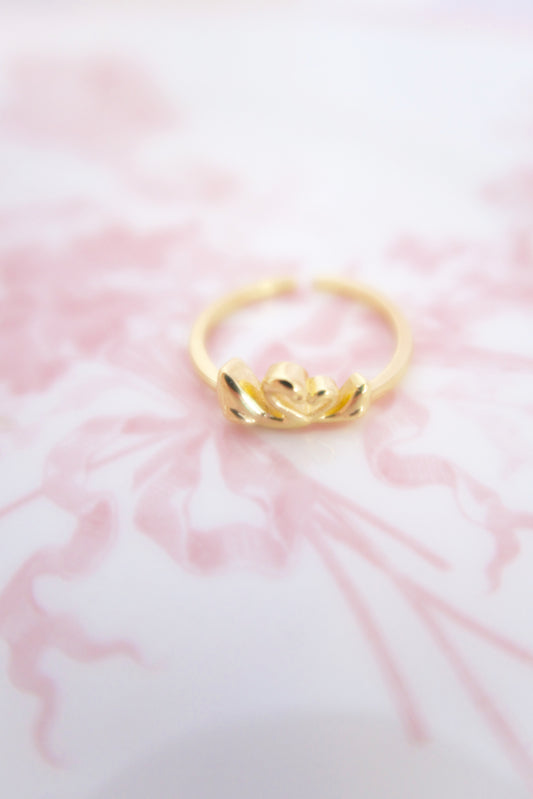 The Swan Lake Ring