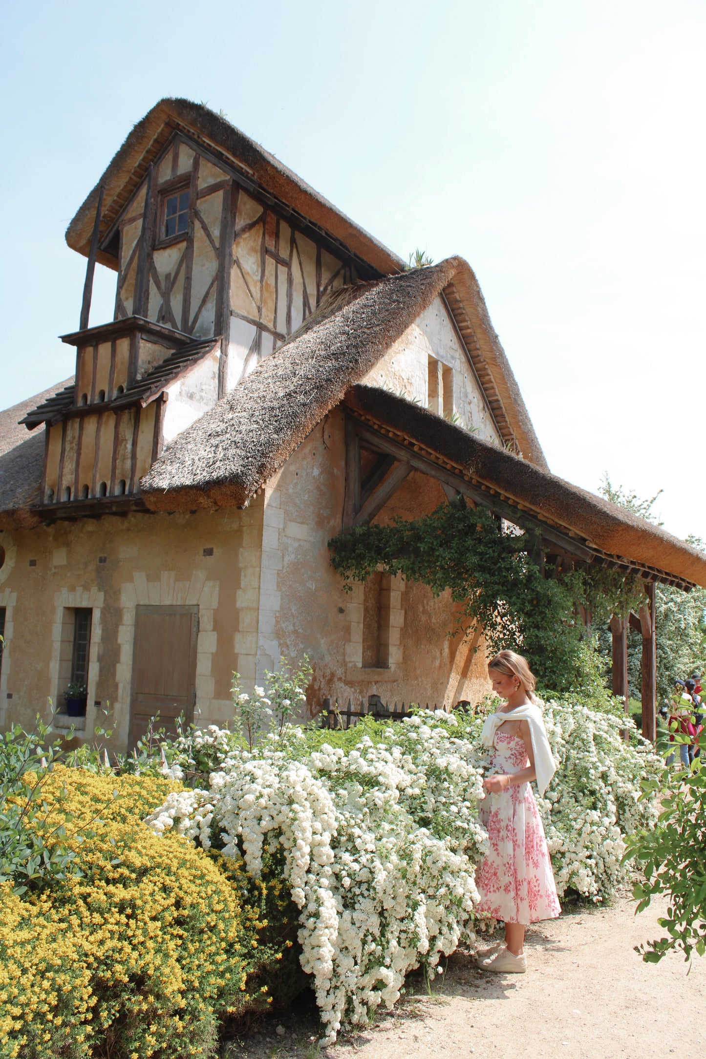 Petals At The Palace Dress